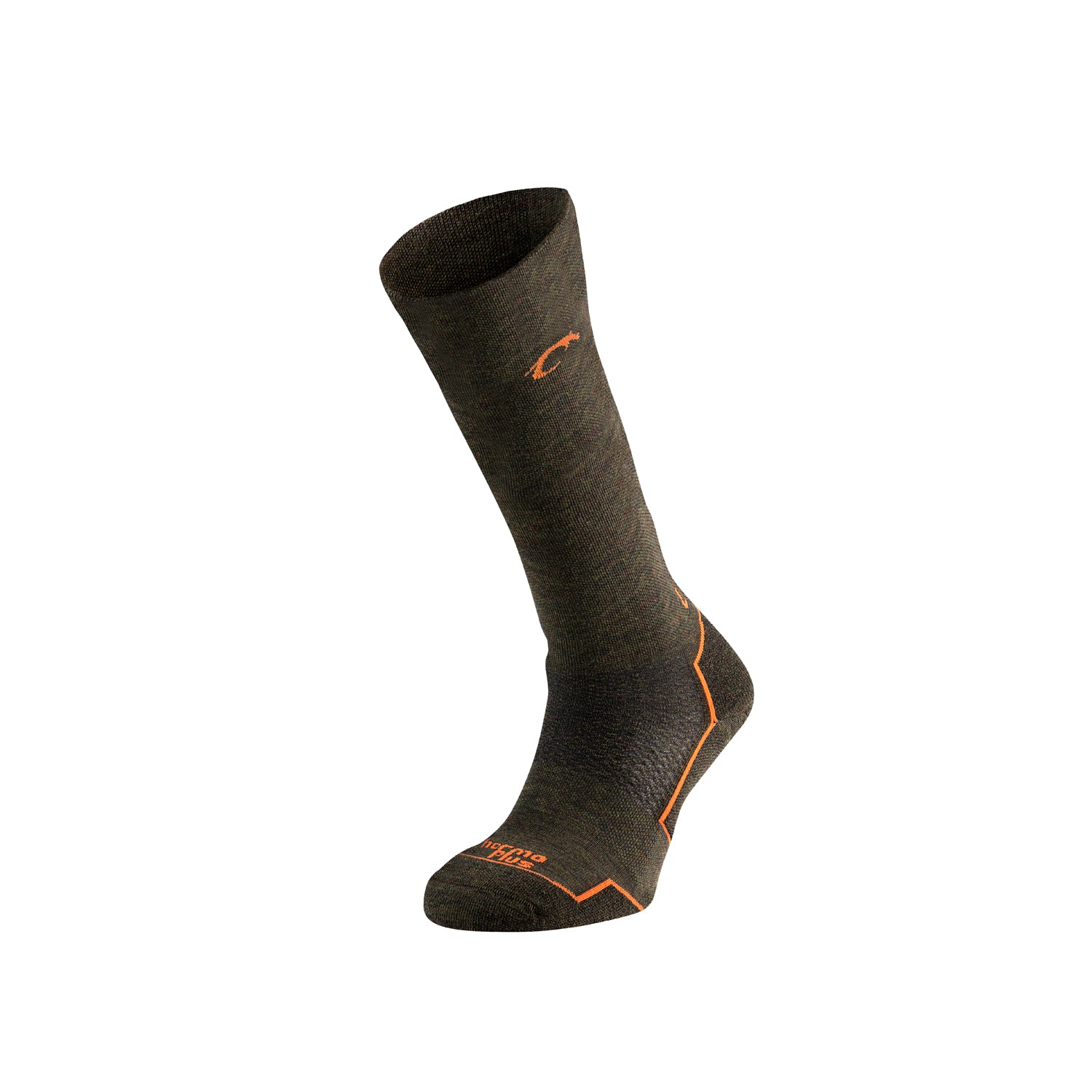 Agres Six - sottobosco/orange